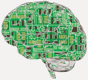 ebrain